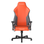 Геймерське крісло DXRacer Drifting Series Autumn