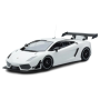 Масштабна модель Lamborghini Gallardo LP600+ GT3 White Minichamps 1/18