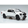 Масштабна модель Ford Shelby F150 White GT Spirit 1/18