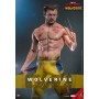 Фигурка Росомаха Jacket Version 1/6 Hot Toys из фильма Дэдпул и Росомаха