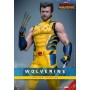 Фигурка Росомаха Deluxe Version 1/6 Hot Toys из фильма Дэдпул и Росомаха